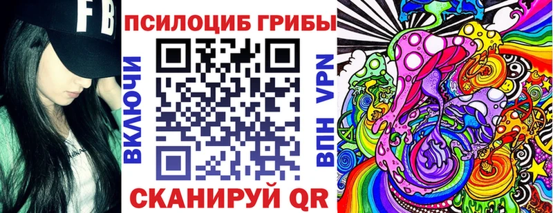 закладка  Мурино  Галлюциногенные грибы мицелий 